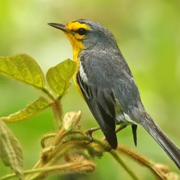 WhatsApp-Image-2024-05-30-at-8.03.32-PM